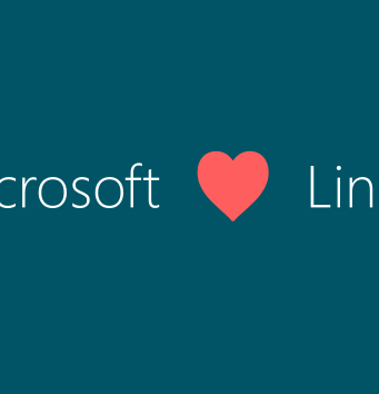 microsoft supporto open socurce