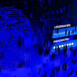 la sicurezza negli acquisti online