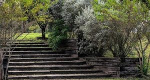 Evoluzione delle schede madri ATX e formati alternativi