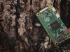 Raspberry Pi: il mini computer che ha rivoluzionato la didattica