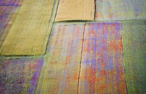 Evoluzione delle telecamere di sicurezza IP