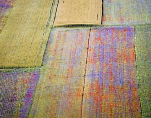 Evoluzione delle telecamere di sicurezza IP