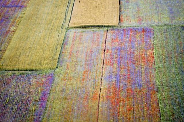 Evoluzione delle telecamere di sicurezza IP