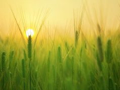 NAS domestici: come creare un cloud personale