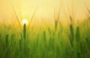 NAS domestici: come creare un cloud personale