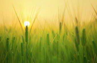 NAS domestici: come creare un cloud personale