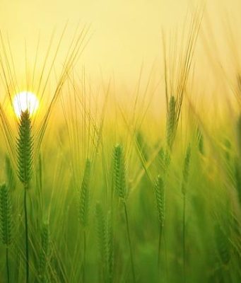 NAS domestici: come creare un cloud personale